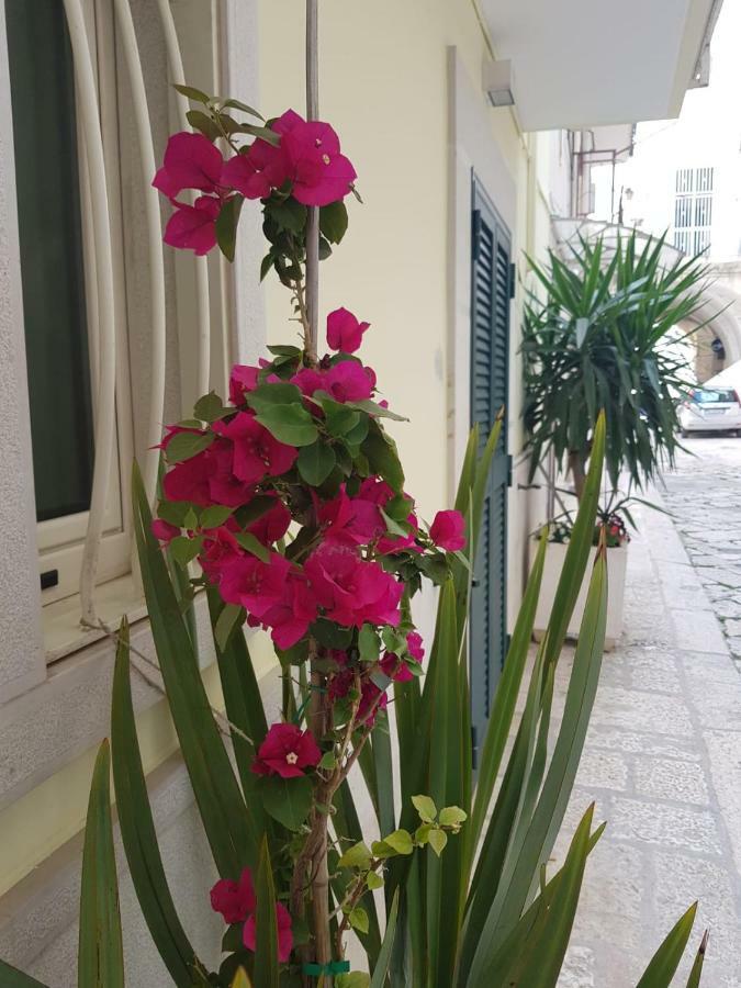 Arco Gentile B & B Bitonto Exterior foto